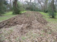 First Plowing.jpg