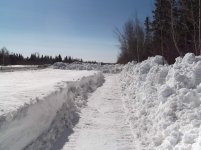 Firewood 2015-03-31- 001.jpg