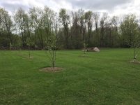 IMG_3906.jpg