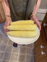 IMG_6350.jpeg