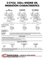 2strokeoilM2.jpg