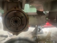 IMG_1170.jpeg
