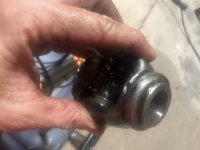 IMG_1179.jpeg