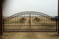 IMG_1110.JPG