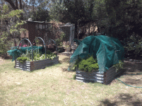Beds2.gif