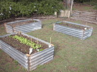 Beds1.gif