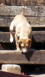 hunting 5.jpg