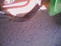 782271-pic0016.jpg