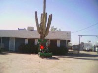782274-pic0014.jpg