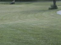666547-Yard 1 605.JPG
