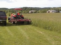 Tractor Stonewall 605.JPG