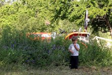 666739-tall-grass-1.jpg