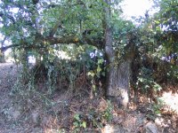 743361-IMG_5842r1.jpg