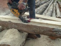 666773-Workshop 088.jpg
