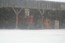 782652-IMG_0959.jpg