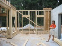 707136-Framing19.jpg
