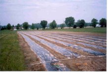 667126-fielddiag.jpg