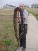 830113-10 foot Diamondback.JPG