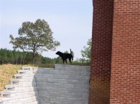 745701-Retaining wall 023 (Small).jpg