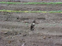 745765-MVC-146S.JPG