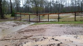 3-9-15 Pond Fence Overflow.jpg