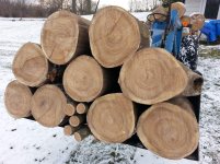 Firewood in Scoop.jpg
