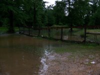 5-27-15 Water at Duck Pond Fence.jpg