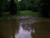 5-27-15 Corn Has Plenty of Water.jpg