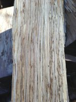 spalted.jpg