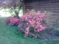 150505_001.jpg