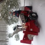 IMG_1015.JPG