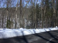 DSCN1033.JPG