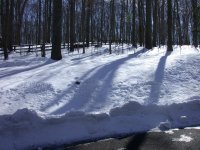 DSCN1034.JPG