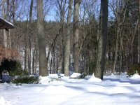 DSCN1035.JPG