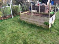 raised bed.jpeg