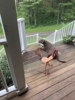 IMG_1902.jpeg