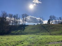IMG_4896.jpeg