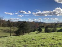 IMG_4920.jpeg