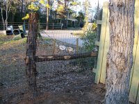 1-27-15 Front Fence Corner Bracing.jpg