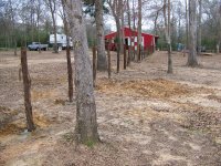 1-31-15 Cedar Fence Posts.jpg
