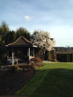 image-1178347013.jpg