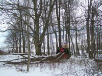 100_2660.jpg