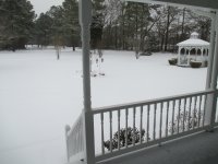 IMG_1524.JPG