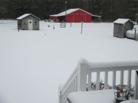IMG_1526.JPG