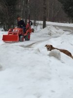 Snow.jpg