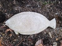 Flounder.JPG