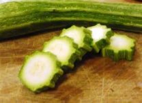 costata.jpg