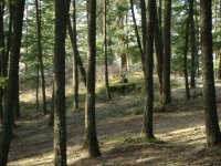 Spring clean-up 004.jpg