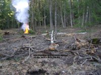 Spring clean-up 001.jpg