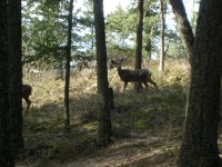 Spring clean-up 002.jpg